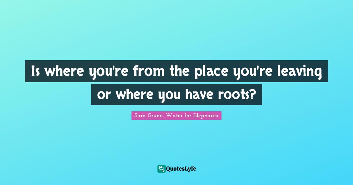 Is where you're from the place you're leaving or where you have roots?