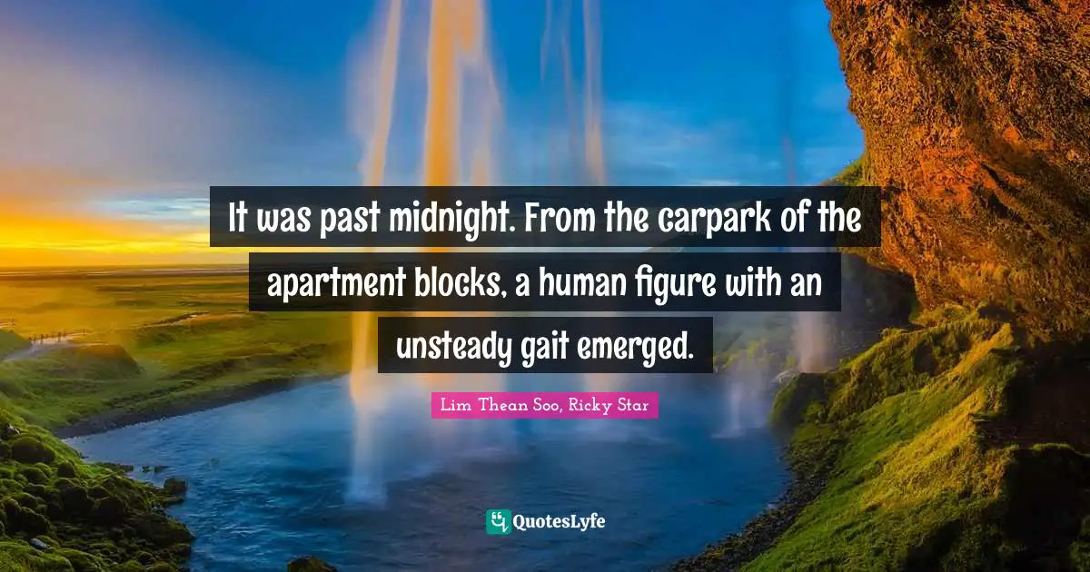 It was past midnight. From the carpark of the apartment blocks, a human figure with an unsteady gait emerged.