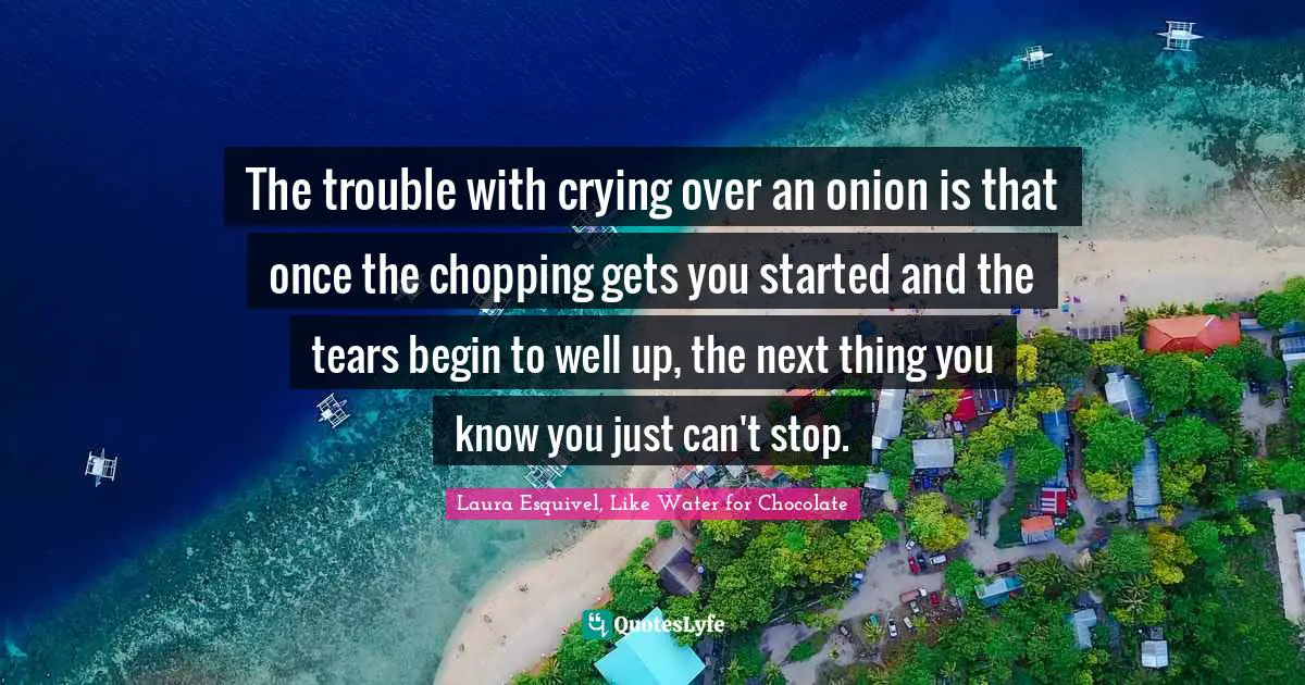The trouble with crying over an onion is that once the chopping gets you started and the tears begin to well up, the next thing you know you just can't stop.