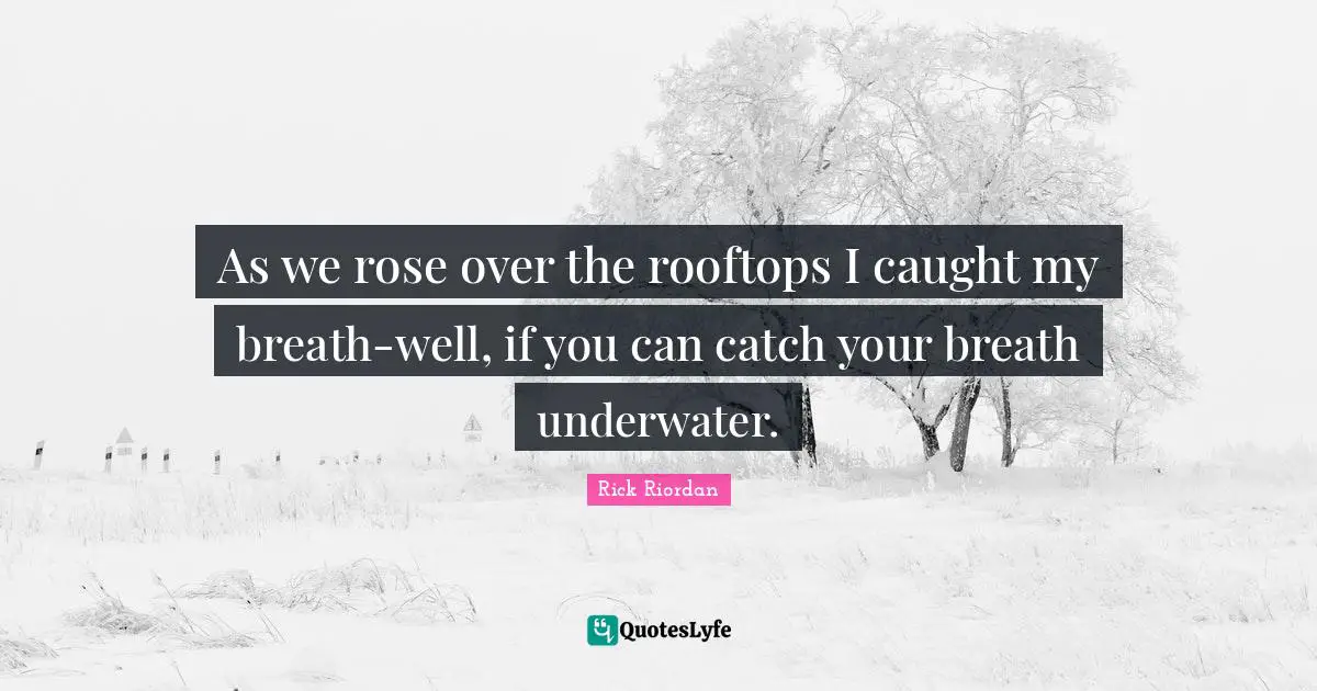 Underwater Quotes: "As we rose over the rooftops I caught my breath-well, if you can catch your breath underwater."