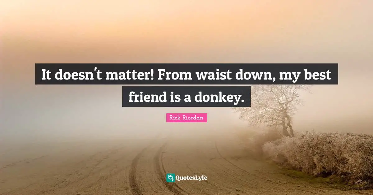 It doesn't matter! From waist down, my best friend is a donkey.
