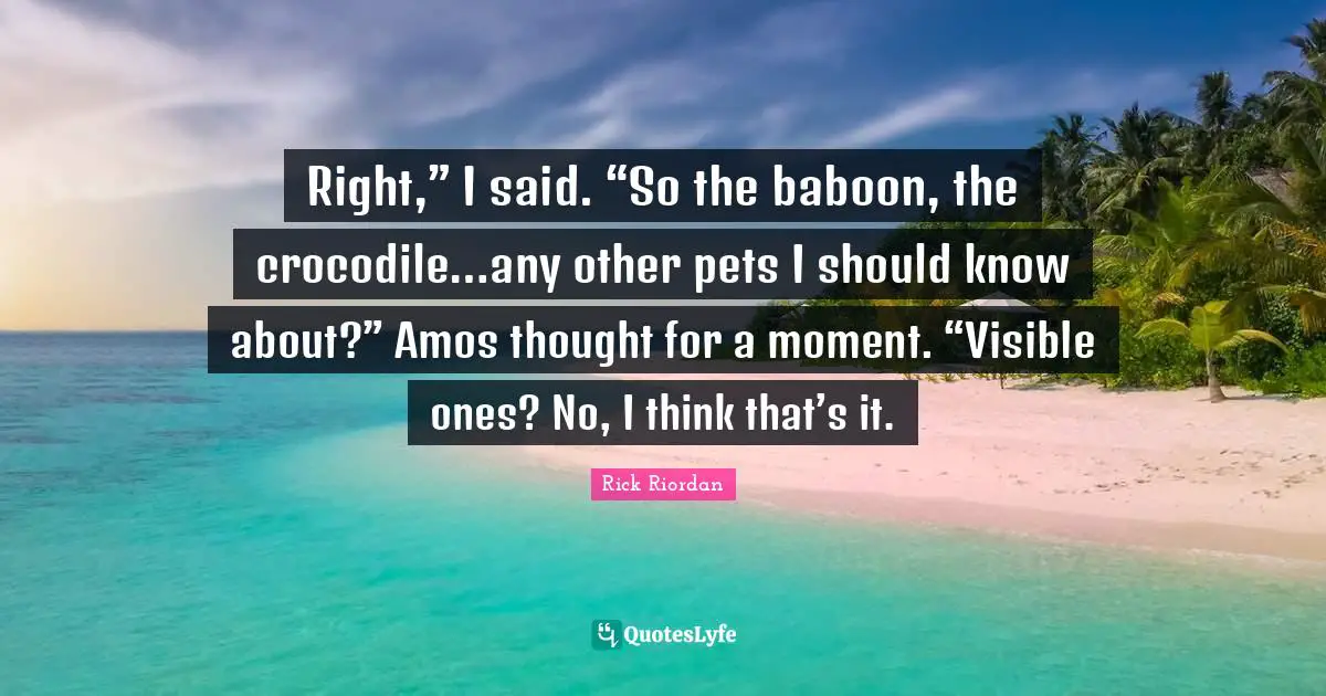 Right,” I said. “So the baboon, the crocodile…any other pets I should know about?” Amos thought for a moment. “Visible ones? No, I think that’s it.