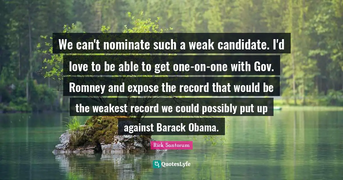 We can't nominate such a weak candidate. I'd love to be able to get one-on-one with Gov. Romney and expose the record that would be the weakest record we could possibly put up against Barack Obama.