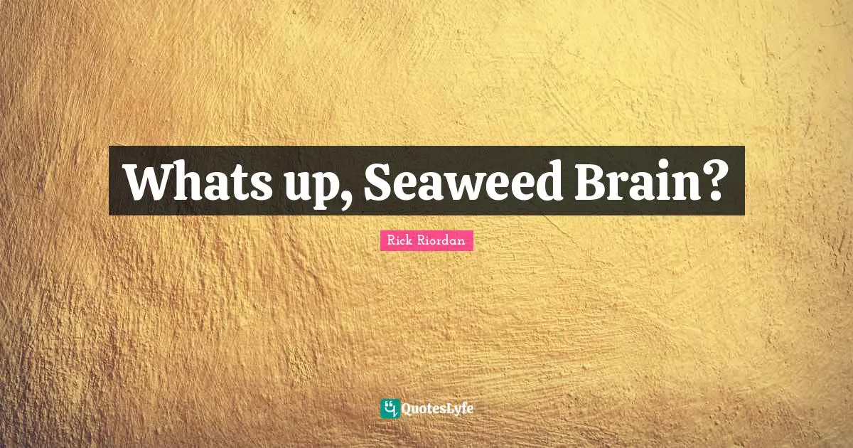 Whats up, Seaweed Brain?