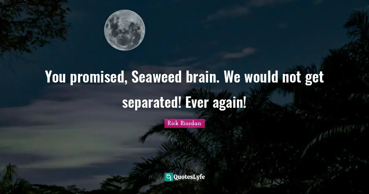You promised, Seaweed brain. We would not get separated! Ever again!