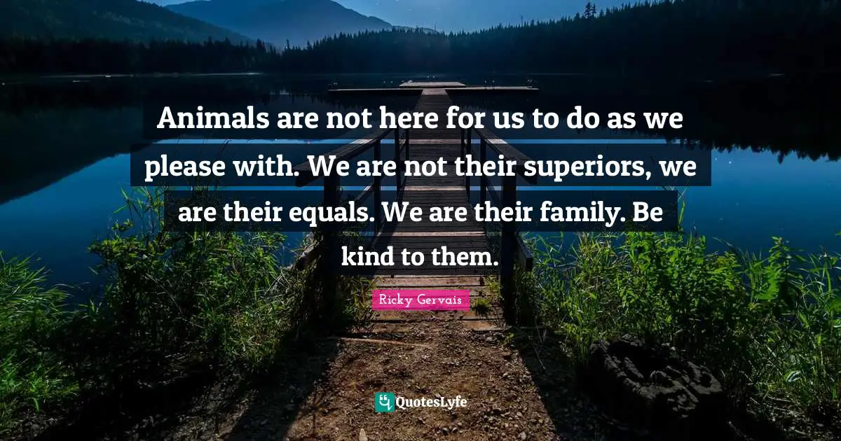 Animals are not here for us to do as we please with. We are not their superiors, we are their equals. We are their family. Be kind to them.