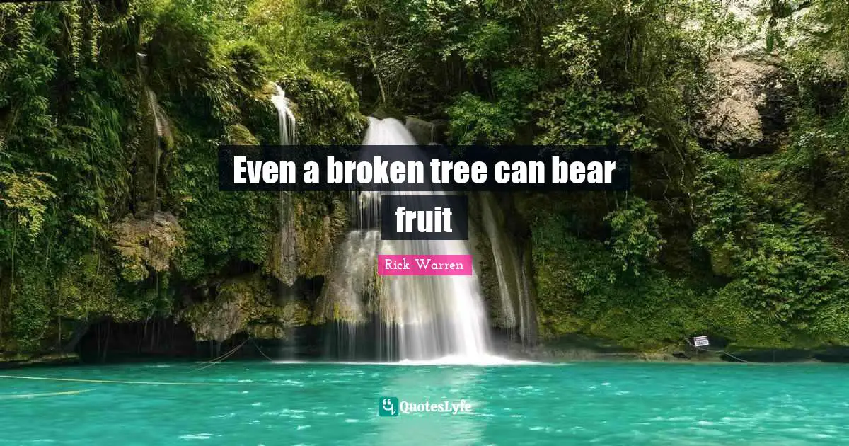 Even a broken tree can bear fruit