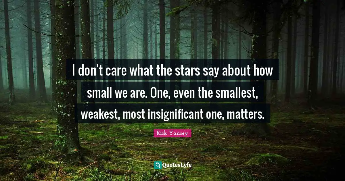 I don't care what the stars say about how small we are. One, even the smallest, weakest, most insignificant one, matters.