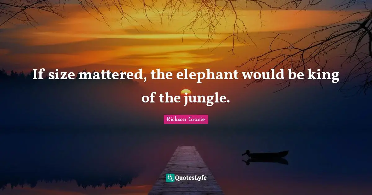 Kings Quotes: "If size mattered, the elephant would be king of the jungle."