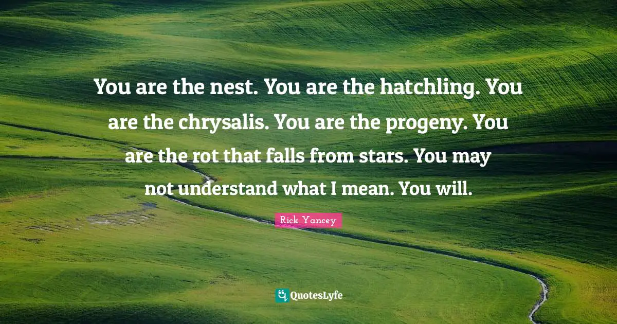 You are the nest. You are the hatchling. You are the chrysalis. You are the progeny. You are the rot that falls from stars. You may not understand what I mean. You will.