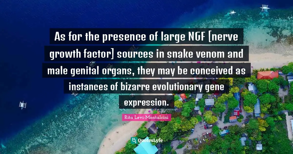 Snakes Quotes: "As for the presence of large NGF [nerve growth factor] sources in snake venom and male genital organs, they may be conceived as instances of bizarre evolutionary gene expression."