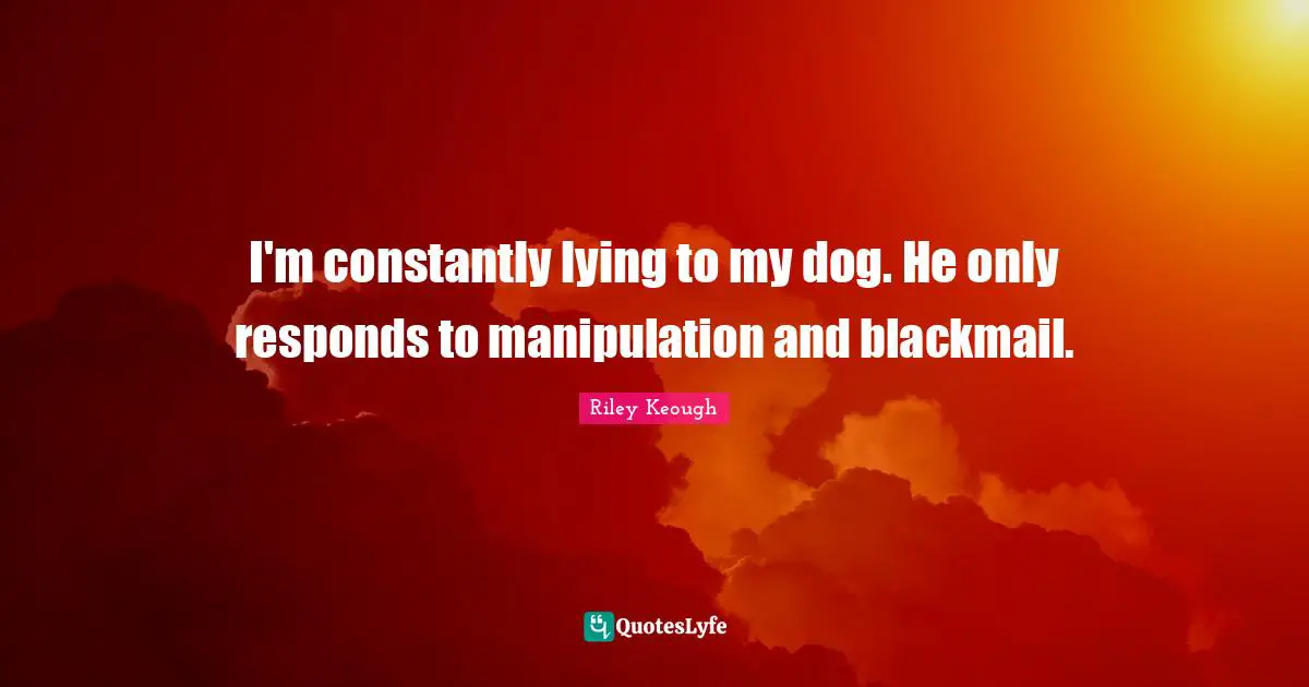 I'm constantly lying to my dog. He only responds to manipulation and blackmail.