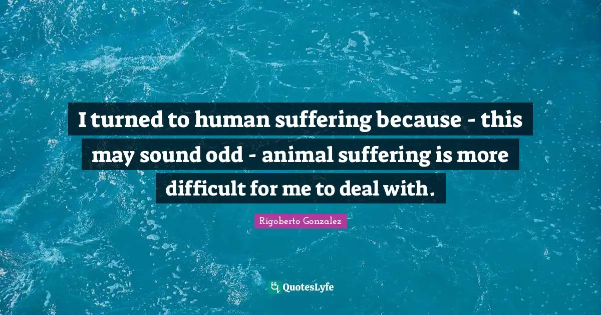 Rigoberto Gonzalez Quotes: "I turned to human suffering because - this may sound odd - animal suffering is more difficult for me to deal with."