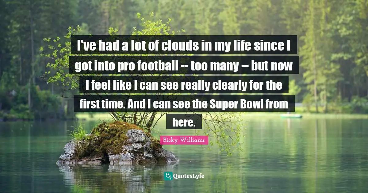 I've had a lot of clouds in my life since I got into pro football -- too many -- but now I feel like I can see really clearly for the first time. And I can see the Super Bowl from here.