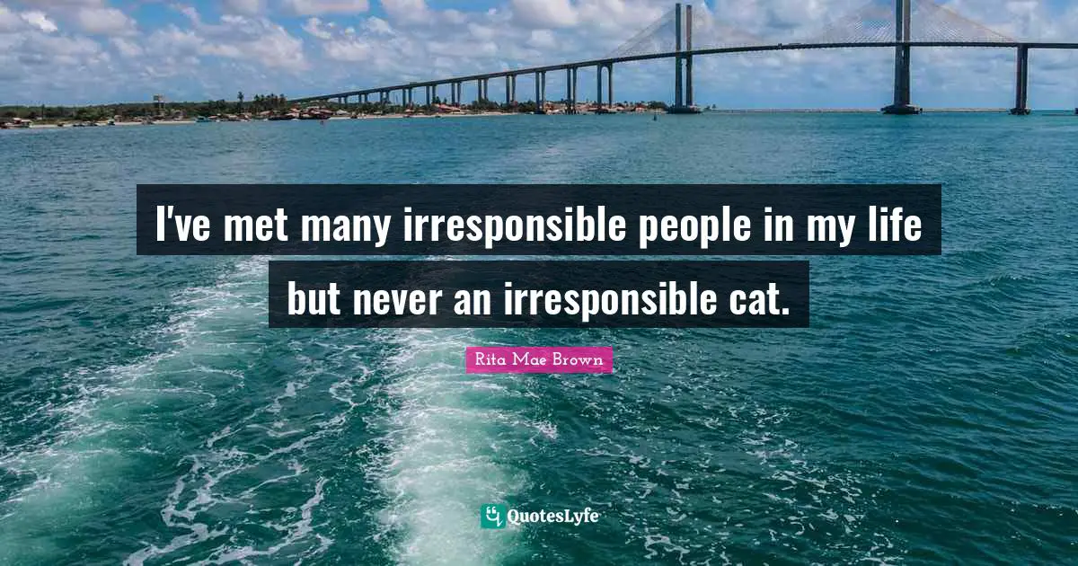 I've met many irresponsible people in my life but never an irresponsible cat.