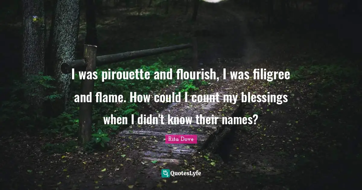 Rita Dove Quotes: "I was pirouette and flourish, I was filigree and flame. How could I count my blessings when I didn't know their names?"