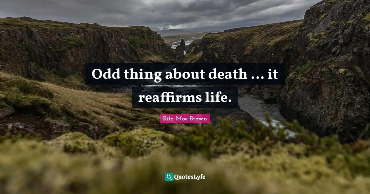 Odd thing about death ... it reaffirms life.