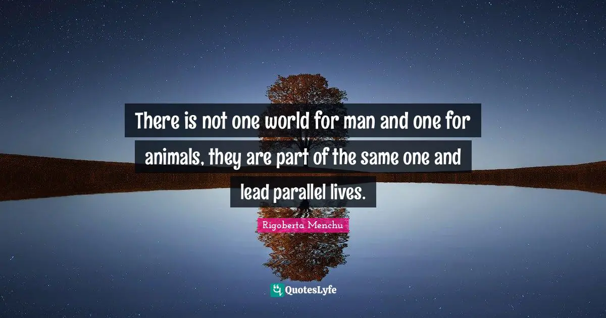 There is not one world for man and one for animals, they are part of the same one and lead parallel lives.