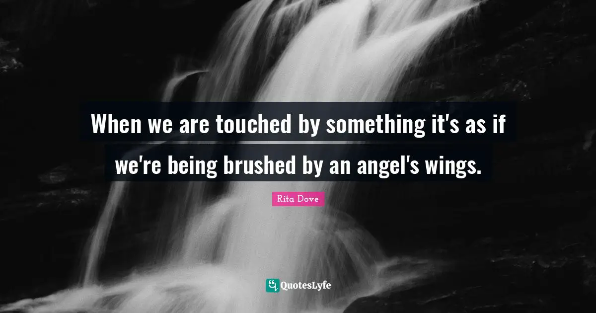 Rita Dove Quotes: "When we are touched by something it's as if we're being brushed by an angel's wings."