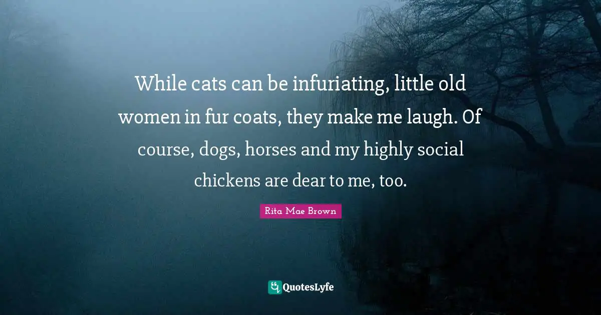 Rita Mae Brown Quotes: While cats can be infuriating, little old women in fur coats, they make me laugh. Of course, dogs, horses and my highly social chickens are dear to me, too.