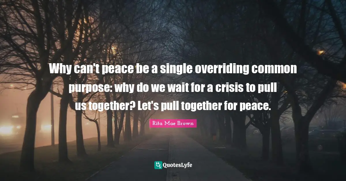 Why can't peace be a single overriding common purpose: why do we wait for a crisis to pull us together? Let's pull together for peace.