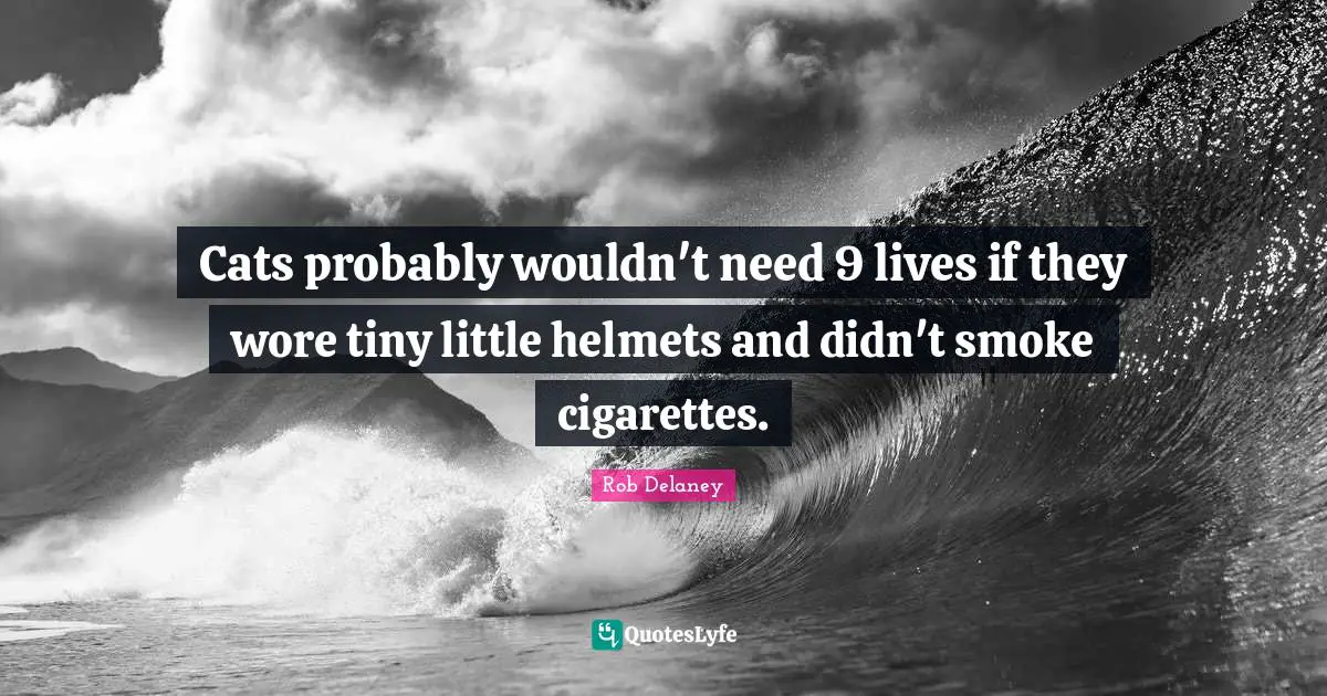 Cats probably wouldn't need 9 lives if they wore tiny little helmets and didn't smoke cigarettes.