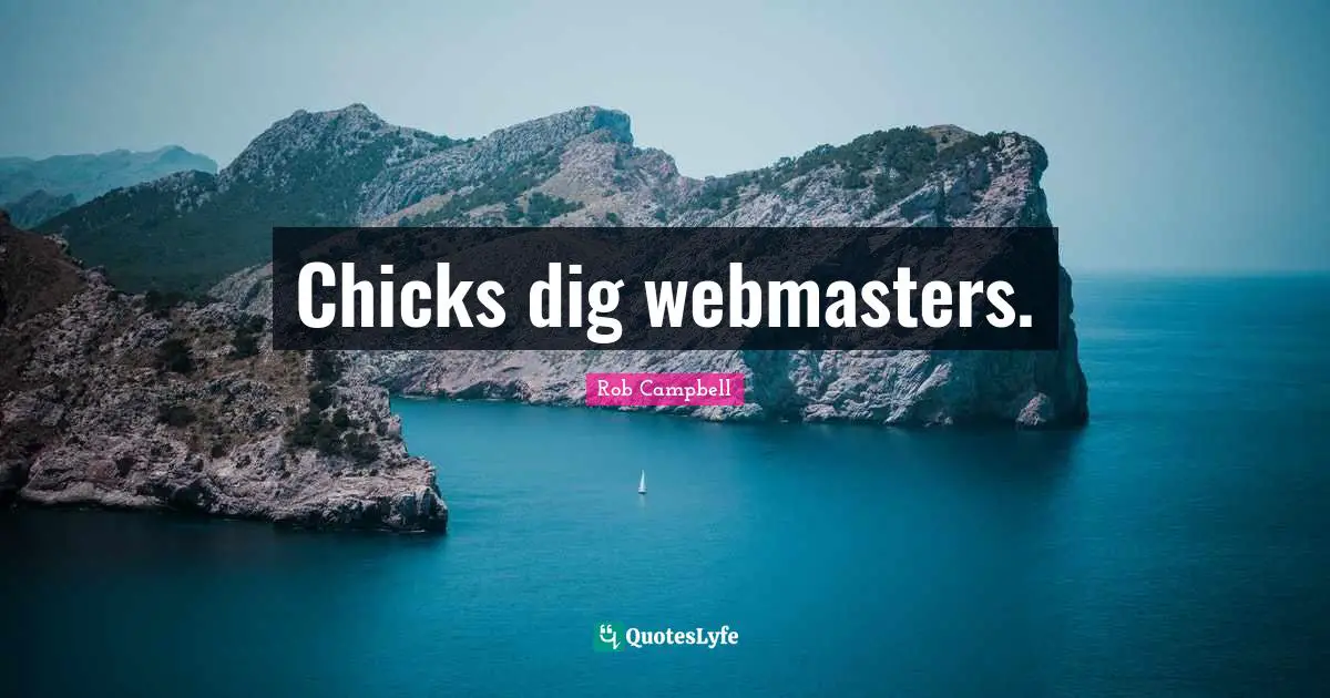 Chicks dig webmasters.