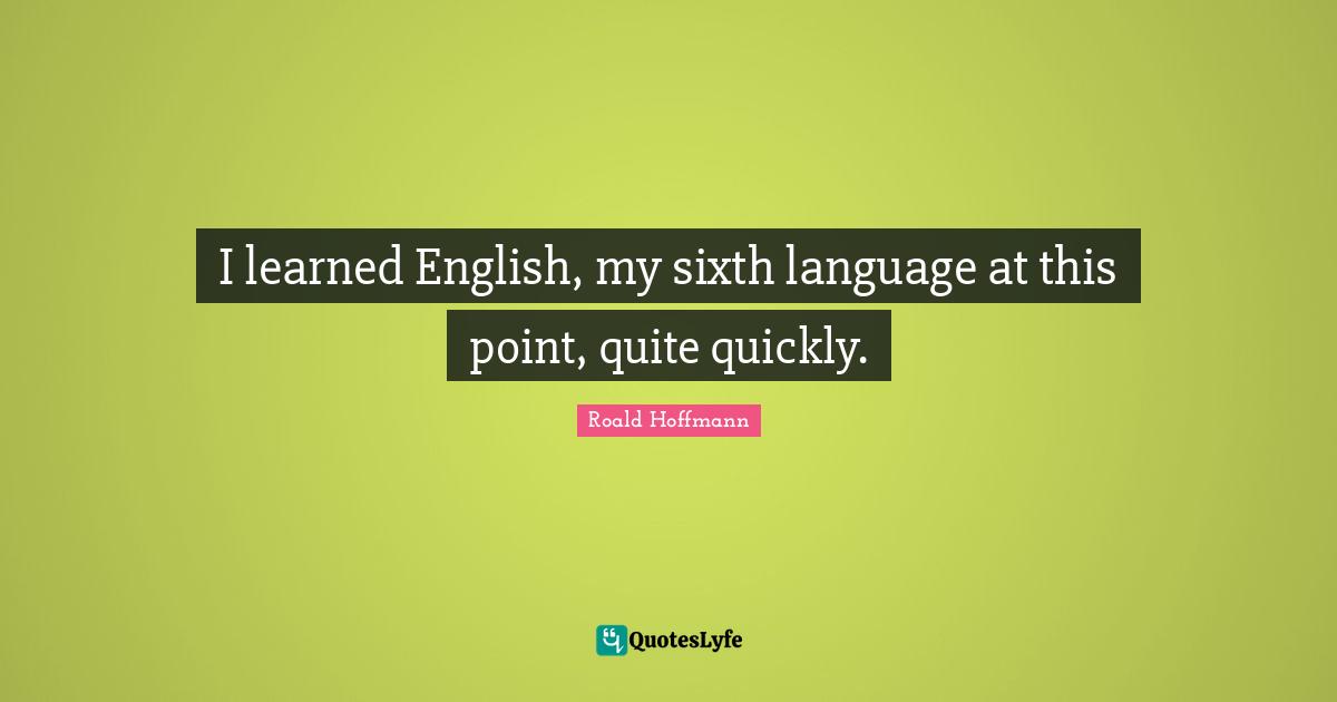 I learned English, my sixth language at this point, quite quickly.