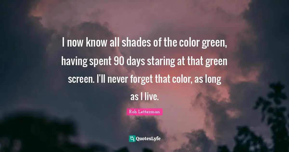 I now know all shades of the color green, having spent 90 days staring at that green screen. I'll never forget that color, as long as I live.
