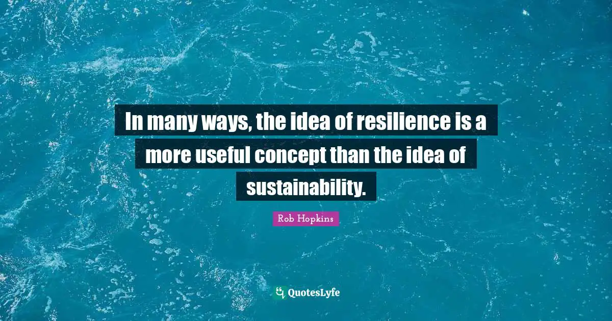In many ways, the idea of resilience is a more useful concept than the idea of sustainability.