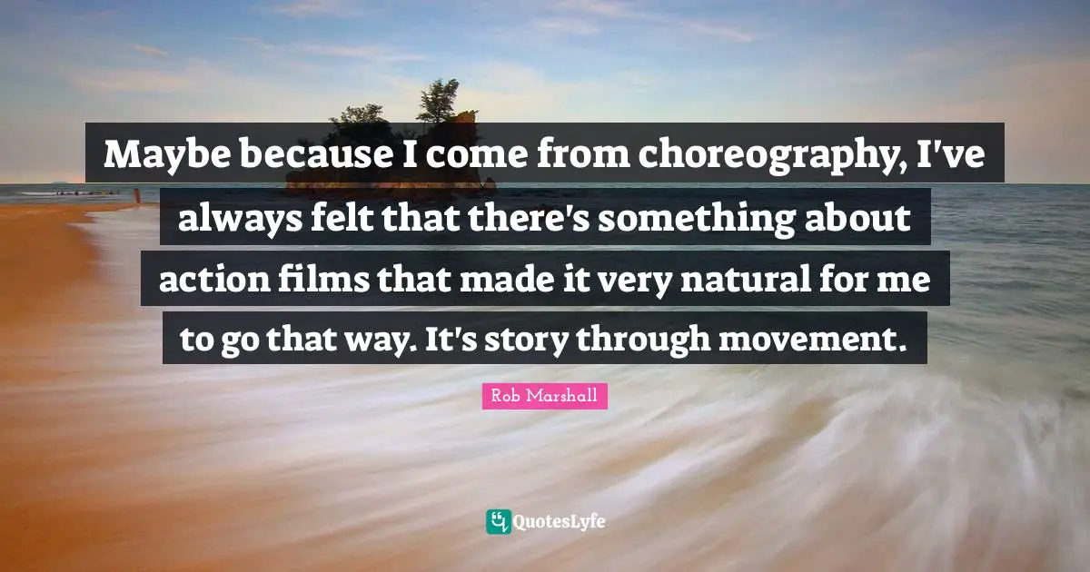Maybe because I come from choreography, I've always felt that there's something about action films that made it very natural for me to go that way. It's story through movement.