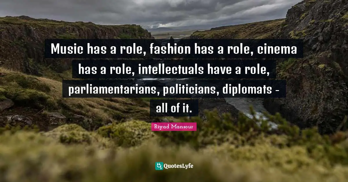 Music has a role, fashion has a role, cinema has a role, intellectuals have a role, parliamentarians, politicians, diplomats - all of it.