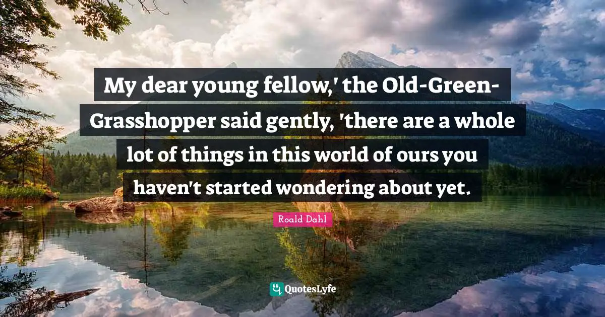 Roald Dahl Quotes: My dear young fellow,' the Old-Green-Grasshopper said gently, 'there are a whole lot of things in this world of ours you haven't started wondering about yet.