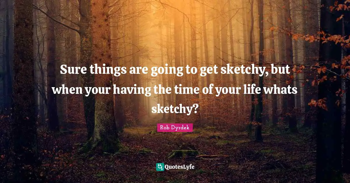 Rob Dyrdek Quotes: "Sure things are going to get sketchy, but when your having the time of your life whats sketchy?"