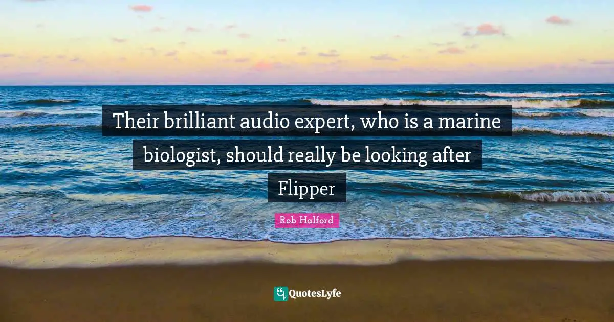 Their brilliant audio expert, who is a marine biologist, should really be looking after Flipper