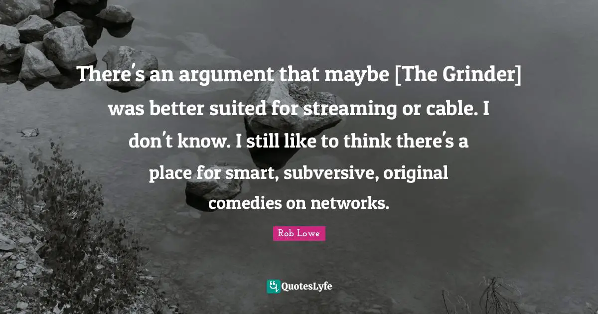 There's an argument that maybe [The Grinder] was better suited for streaming or cable. I don't know. I still like to think there's a place for smart, subversive, original comedies on networks.