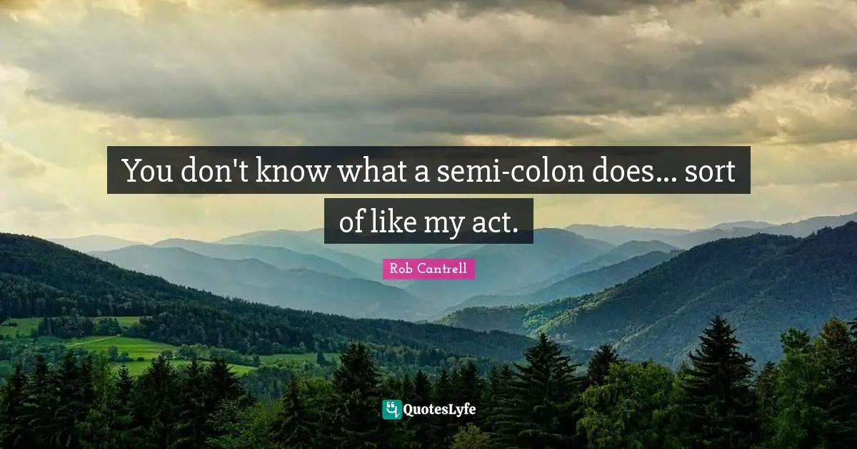 You don't know what a semi-colon does... sort of like my act.