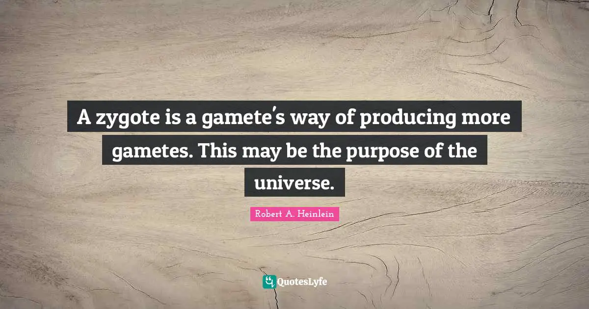A zygote is a gamete's way of producing more gametes. This may be the purpose of the universe.