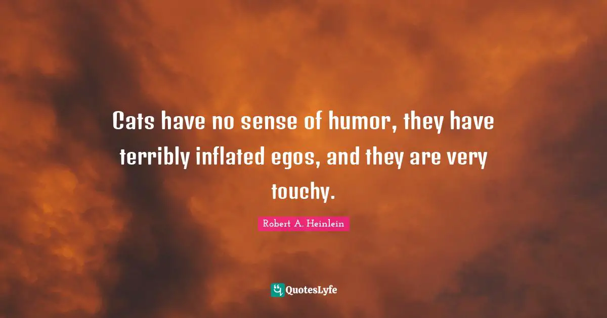Cats have no sense of humor, they have terribly inflated egos, and they are very touchy.