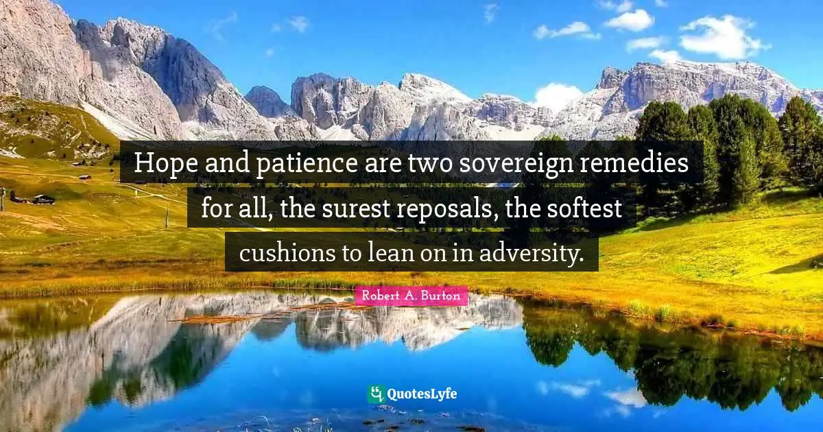Cushions Quotes: "Hope and patience are two sovereign remedies for all, the surest reposals, the softest cushions to lean on in adversity."