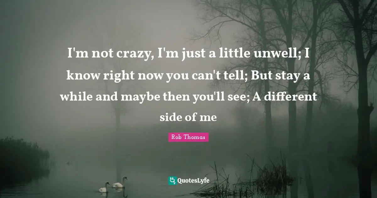 I'm not crazy, I'm just a little unwell; I know right now you can't tell; But stay a while and maybe then you'll see; A different side of me