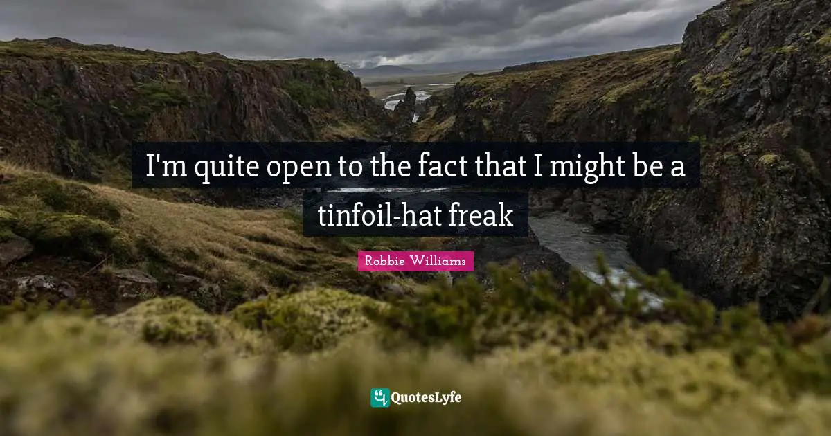 I'm quite open to the fact that I might be a tinfoil-hat freak