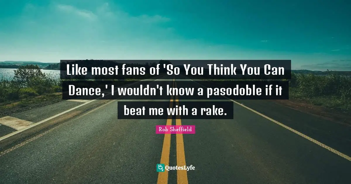 Like most fans of 'So You Think You Can Dance,' I wouldn't know a pasodoble if it beat me with a rake.