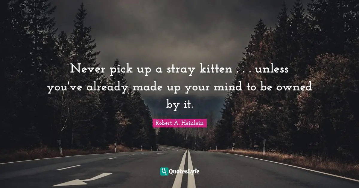 Never pick up a stray kitten . . . unless you've already made up your mind to be owned by it.