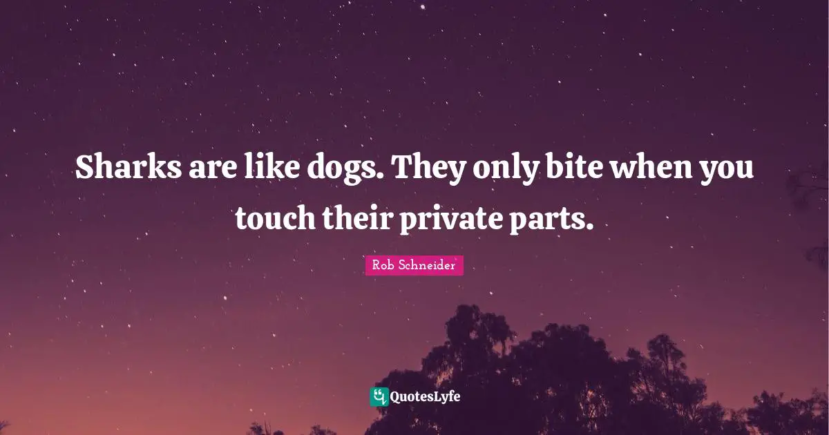 Sharks are like dogs. They only bite when you touch their private parts.