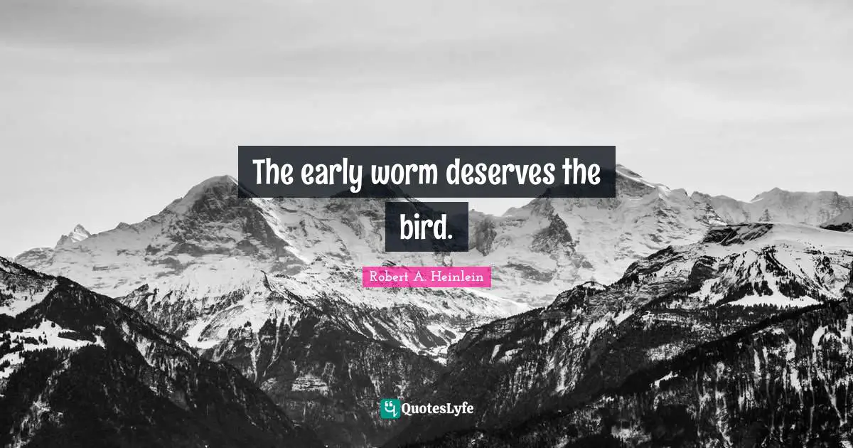 The early worm deserves the bird.