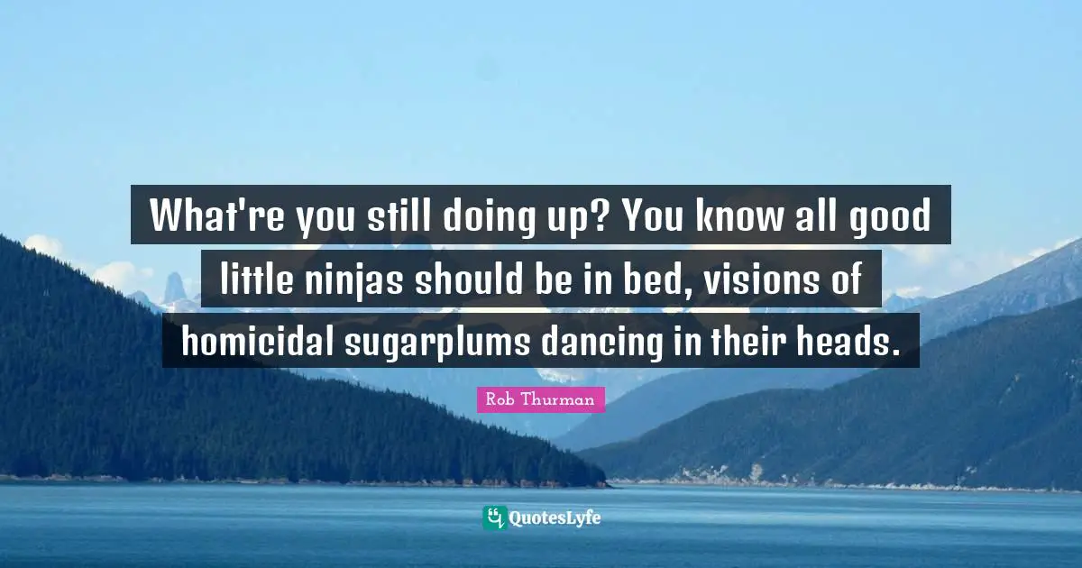 What're you still doing up? You know all good little ninjas should be in bed, visions of homicidal sugarplums dancing in their heads.