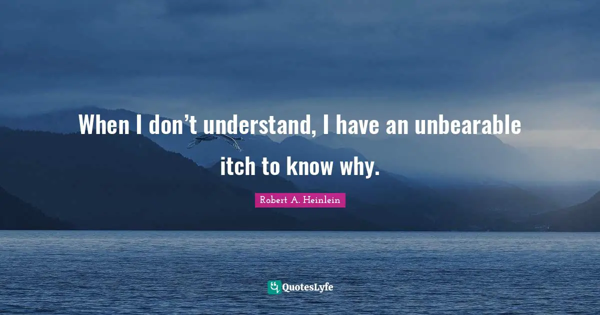When I don’t understand, I have an unbearable itch to know why.