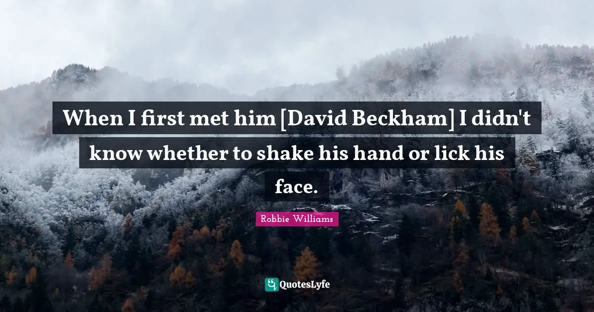 When I first met him [David Beckham] I didn't know whether to shake his hand or lick his face.