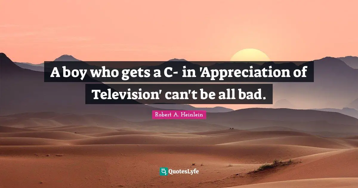 A boy who gets a C- in 'Appreciation of Television' can't be all bad.